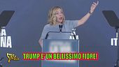 Trump danza (e canta) tra le perdite: 800.000 investitori al tappeto. E Highlander Dj gli dedica una hit..