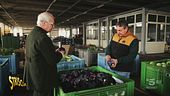 Rampello e gli agricoltori della centrale ortofrutticola di Tarquinia (Viterbo)