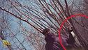 Stasera a Striscia: minacciato con un machete il gancio di Vittorio Brumotti. Paura nel bosco dello spaccio a Gerenzano (Varese)