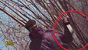 Minacciato con un machete il gancio di Brumotti nel bosco dello spaccio a Gerenzano