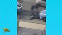 Cosenza, giornalista ammanettato in strada: avrebbe denunciato presunti abusi della Polizia