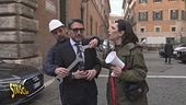 Schlein-Longinotti, l'animale che rappresenta la sinistra? L'aragosta