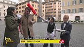 Schlein-Longinotti: tra "teslate" proletarie e "cavialate" postatomiche