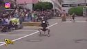 Funny races: al primo posto la corsa con la sedia da ufficio