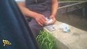 Anticipazione - Un pusher si butta in acqua nel tentativo di fuggire e Vittorio Brumotti si lancia per ricondurlo a riva
