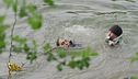 Pusher si butta in acqua per fuggire e Brumotti lo aiuta a tornare a riva
