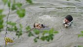 Pusher si butta in acqua per fuggire e Brumotti lo aiuta a tornare a riva
