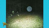 Orbs, le sfere luminose sono segni della presenza di esseri extradimensionali?