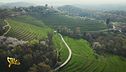 Rampello e il Consorzio IGT Terre Lariane