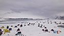 La Groenlandia fa il giro del mondo e passa dall'Artico all'Antartico