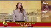 Il conto dei fedeli richiede un "miracolo", Leone XIV non è il Re Sole. E povero gabbiano: non è un pellicano!