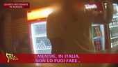 Datteri di mare: in Albania il business clandestino dietro la vendita del mollusco