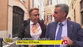 Il ministro Lollobrigida-Ballantini con le sue forme sarebbe più adatto al Senato