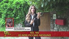 La carica dei 107 di Buguggiate (VA): un incubo senza fine