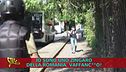 Milano, parco Sempione e gli "zanza" che rubano