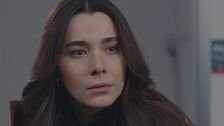 Episodio 88
