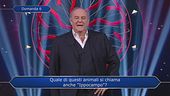 La Q2 della seconda puntata