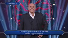 La Q2 della seconda puntata