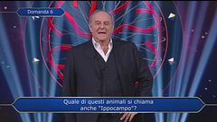 La Q2 della seconda puntata