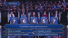 La Q2 dell'ottava puntata