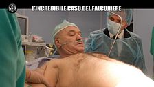 CORDARO: L'incredibile caso del falconiere
