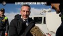 VIVIANI: La pesca intensiva dei polpi
