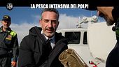 VIVIANI: La pesca intensiva dei polpi