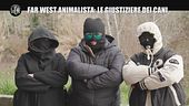 SORTINO: Far West animalista: le giustiziere dei cani