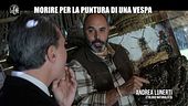 CIZCO: Morire per la puntura di una vespa