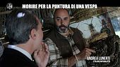 CIZCO: Morire per la puntura di una vespa