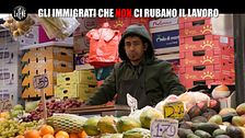 BARRACO: Gli immigrati che non ci rubano il lavoro