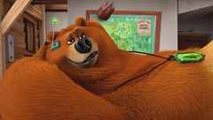 L'orso e la robotica