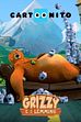 Orso a prova di terremoto