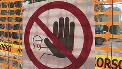 Edizione ore 19.00 del 16 novembre