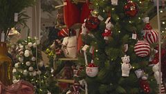 Edizione ore 12.00 del 29 novembre