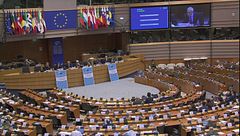 Edizione ore 19.00 del 2 dicembre