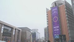 Edizione ore 19.00 dell'8 dicembre