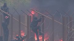 Edizione ore 12.00 del 10 dicembre