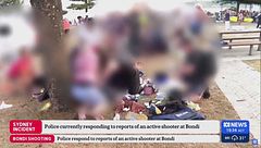 Edizione ore 12.00 del 14 dicembre