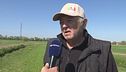 Non solo nutrie, in Veneto le campagne prese d'assalto dagli ibis