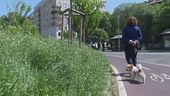 A Milano tra scivoli e altalene fuori uso i bambini faticano a giocare