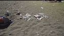 Napoli, nessuno dal primo maggio ha ripulito la spiaggia dai rifiuti