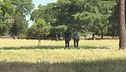 Donna e neonata trovate morte, orrore nel parco di Roma