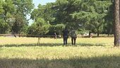 Donna e neonata trovate morte, orrore nel parco di Roma