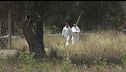 Il Brigadiere ucciso dai rapinatori, parte la doppia raccolta di fondi