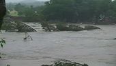 Tragica alluvione in Texas, il fiume investe i campi scout