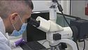 Dna maschile ignoto trovato nella bocca di Chiara Poggi