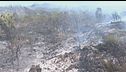 Il Vesuvio ancora brucia e c'è un nuovo focolaio