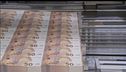 La Bce e l'elogio del contante, fondamentale durante la crisi