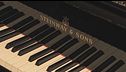 Dopo 100 anni la musica non cambia, il record di "Bettin Pianoforti"